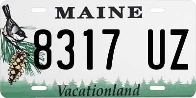 ME license plate 8317UZ