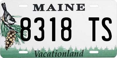 ME license plate 8318TS