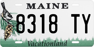 ME license plate 8318TY