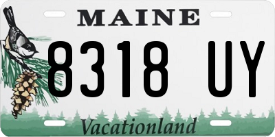 ME license plate 8318UY