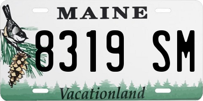 ME license plate 8319SM