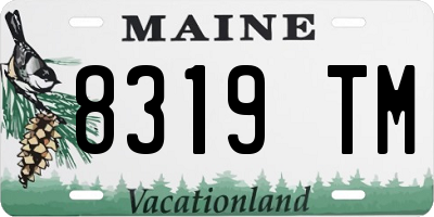 ME license plate 8319TM