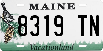 ME license plate 8319TN