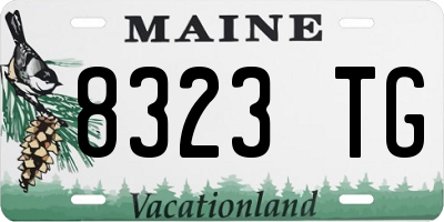 ME license plate 8323TG