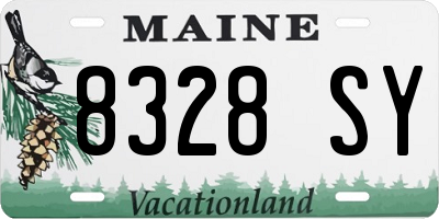 ME license plate 8328SY