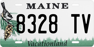 ME license plate 8328TV