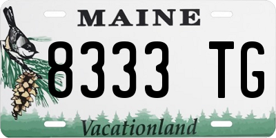 ME license plate 8333TG