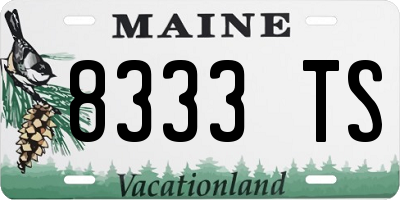 ME license plate 8333TS