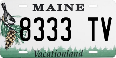 ME license plate 8333TV
