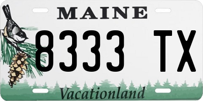 ME license plate 8333TX