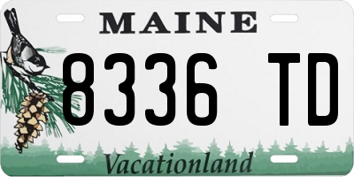 ME license plate 8336TD