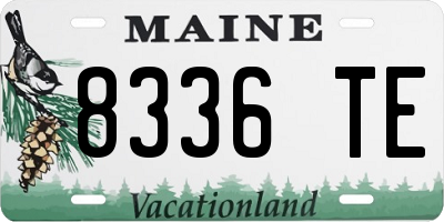 ME license plate 8336TE