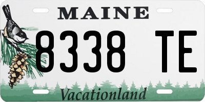 ME license plate 8338TE