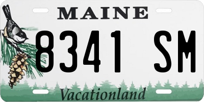 ME license plate 8341SM