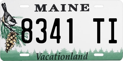 ME license plate 8341TI