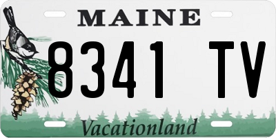 ME license plate 8341TV