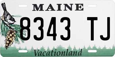 ME license plate 8343TJ