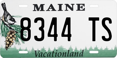 ME license plate 8344TS