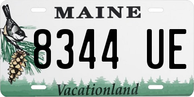 ME license plate 8344UE