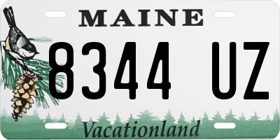 ME license plate 8344UZ