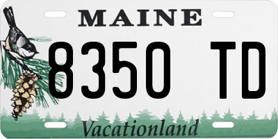 ME license plate 8350TD