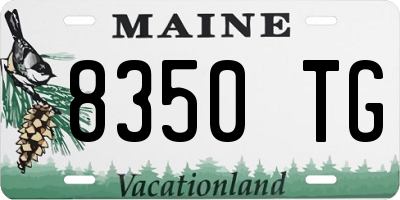 ME license plate 8350TG
