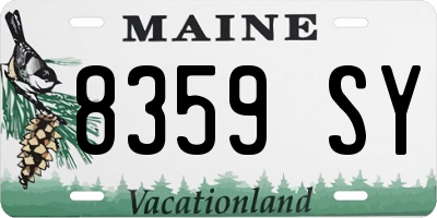 ME license plate 8359SY
