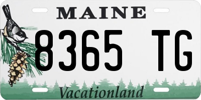 ME license plate 8365TG