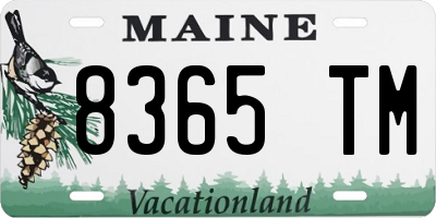 ME license plate 8365TM