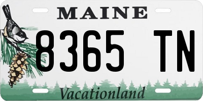 ME license plate 8365TN