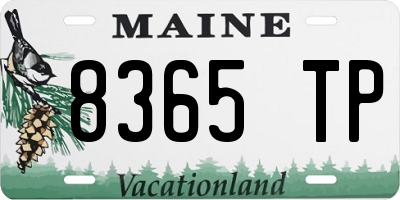 ME license plate 8365TP