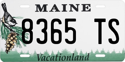 ME license plate 8365TS