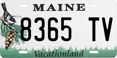 ME license plate 8365TV