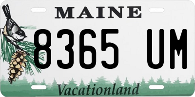 ME license plate 8365UM