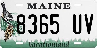 ME license plate 8365UV