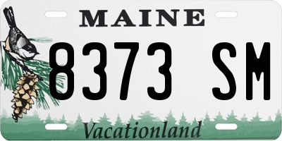 ME license plate 8373SM