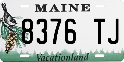 ME license plate 8376TJ