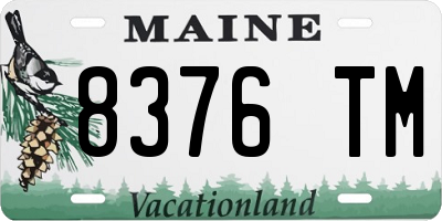 ME license plate 8376TM