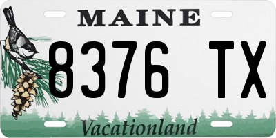 ME license plate 8376TX