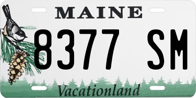 ME license plate 8377SM