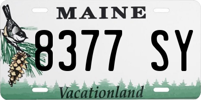 ME license plate 8377SY