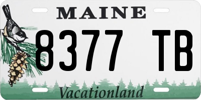 ME license plate 8377TB