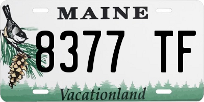 ME license plate 8377TF