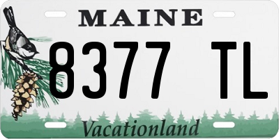 ME license plate 8377TL