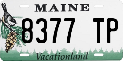 ME license plate 8377TP