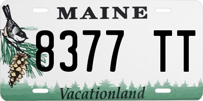 ME license plate 8377TT