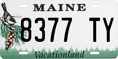 ME license plate 8377TY
