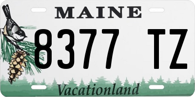 ME license plate 8377TZ