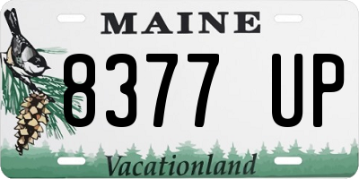 ME license plate 8377UP