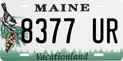 ME license plate 8377UR